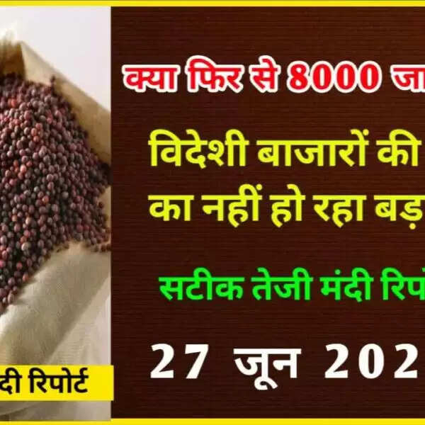 सरसों फिर से होगी 8000? तेजी मंदी रिपोर्ट 27 जून 2022 | Sarso Rate Today