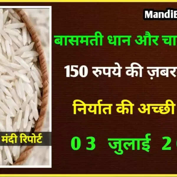 बांग्लादेश ने चावल पर घटाया आयात शुल्क, चावल में तेजी, देखें बासमती धान और चावल के ताजा भाव | 03 जुलाई 2022 | Basmati Rice Rate Today