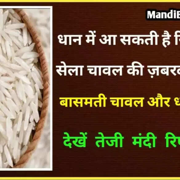 धान में आ सकती है रिकॉर्ड तेजी धान बोया है तो ये रिपोर्ट देखना जरुरी