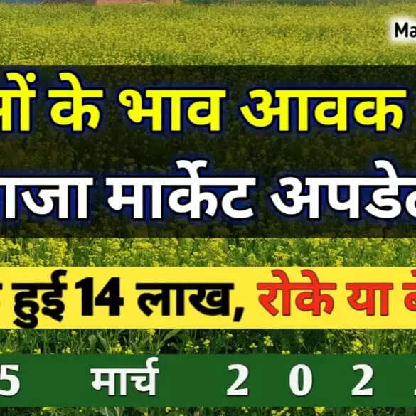 सरसों के भाव,आवक और ताजा मार्केट अपडेट | 15 मार्च 2022 | रोके या बेचें