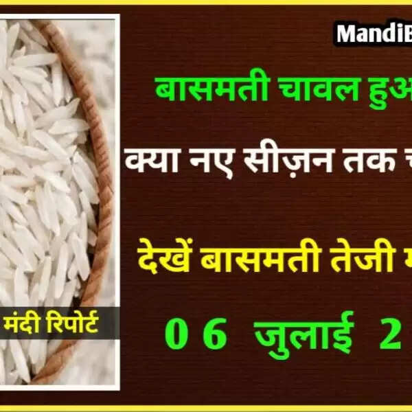 महंगा हुआ बासमती चावल, नए सीजन में मिल सकते हैं ऊँचे भाव | जानें वजह