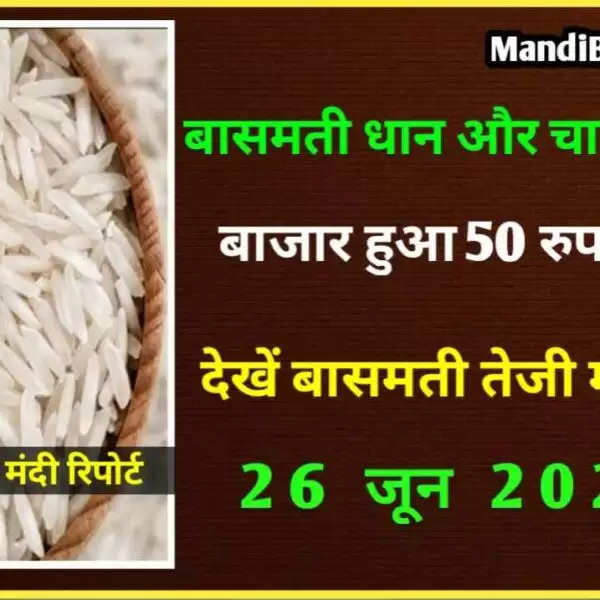 Basmati Rice Rate Today | बासमती धान और चावल के ताजा भाव | 26 जून 2022