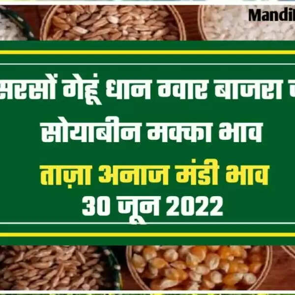 सरसों स्थिर , ग्वार फिर गिरा , धान गर्म गेहूं स्थिर | देखें आज के धान, गेहूं, सरसों, नरमा, ग्वार, चना, जौ, अरंडी आदि फसलों के भाव | Anaj Mandi Rate
