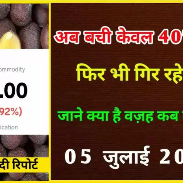 सरसों में नाजायज गिरावट, अगले 8 महीने के लिए बची केवल 40% सरसों, जाने कब थमेगा गिरावट का दौर?