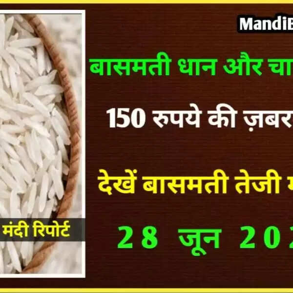 बासमती सेला 150 रुपये तेज, देखें बासमती धान और चावल के ताजा भाव | 28 जून 2022 | Basmati Rice Rate Today