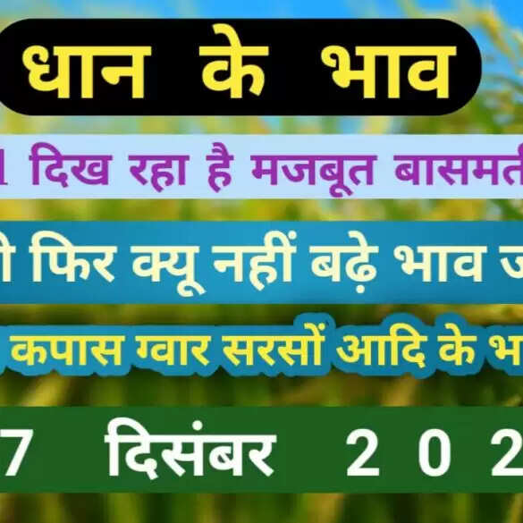 17/12/21 के ताजा भाव धान 1121, 1718, 1509, DP, 1401, TAAJ, परमल, सुगंधा, सरबती धान किस्मों के लेटेस्ट मार्केट प्राइस