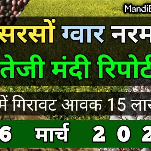 सरसों और नरमा में नरमी, धान और ग्वार स्थिर | तेजी मंदी रिपोर्ट | 16 मार्च 2022
