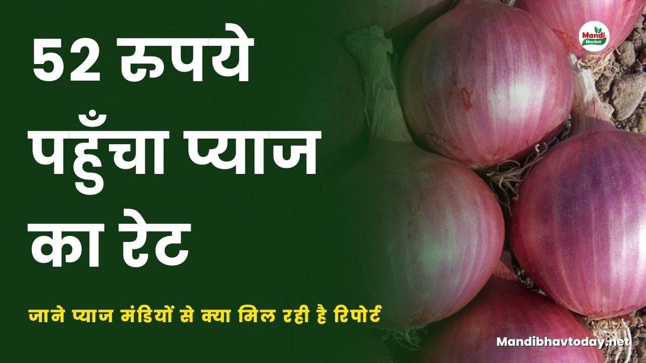 52 रुपये पहुँचा प्याज का रेट | जाने प्याज मंडियों से क्या मिल रही है रिपोर्ट