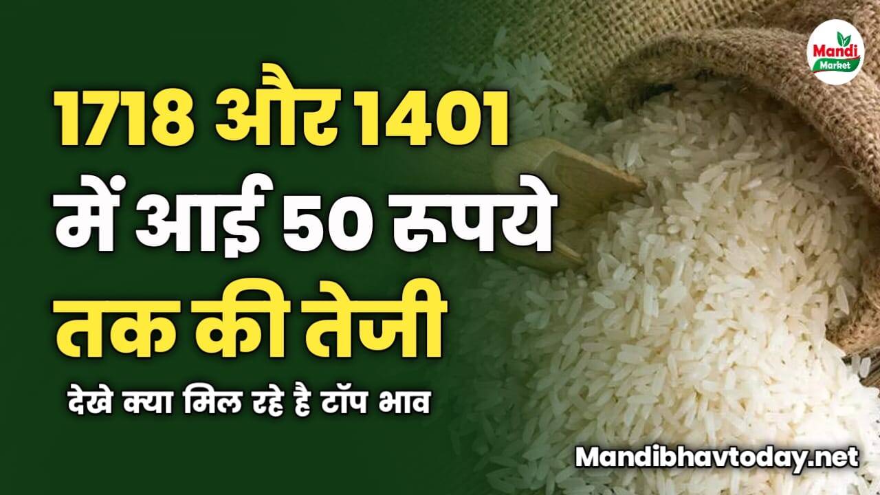 1718 और 1401 में आई 50 रूपये तक की तेजी | देखे क्या मिल रहे है टॉप भाव