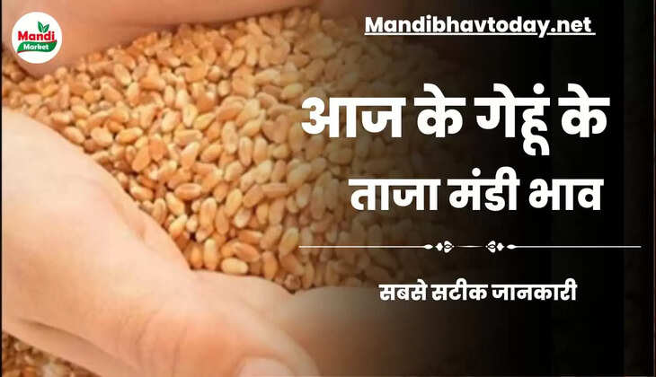 wheat kanak gehu Live Rate Today 27 april 2023 