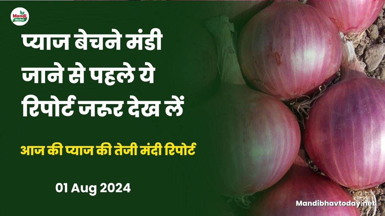 प्याज बेचने मंडी जाने से पहले ये रिपोर्ट जरूर देख लें | आज की प्याज की तेजी मंदी रिपोर्ट