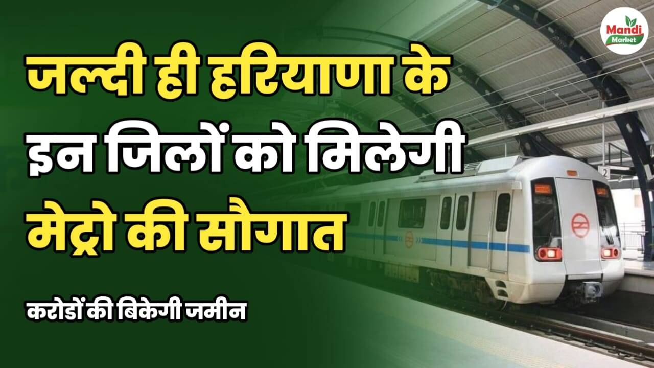जल्दी ही हरियाणा के इन जिलों को मिलेगी मेट्रो की सौगात | करोड़ों की बिकेगी जमीन