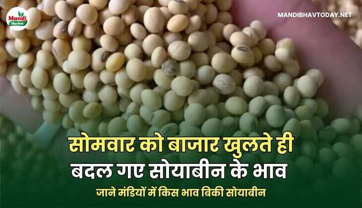 सोमवार को बाजार खुलते ही बदल गए सोयाबीन के भाव | जाने मंडियों में किस भाव बिकी सोयाबीन