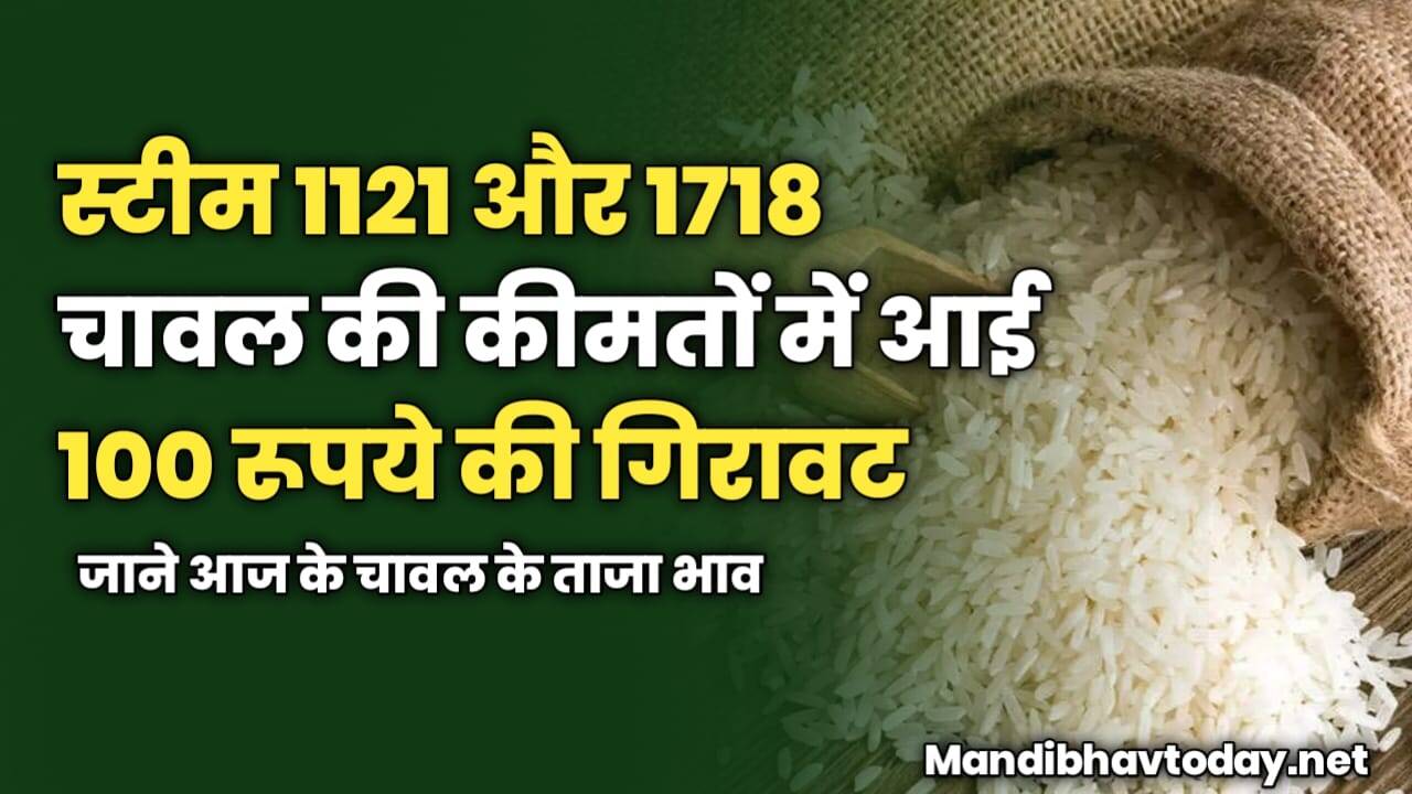 स्टीम 1121 और 1718 चावल की कीमतों में आई 100 रूपये की गिरावट | जाने आज के चावल के ताजा भाव