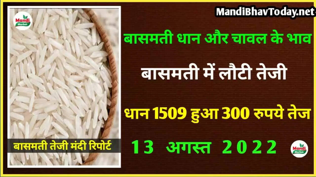 dhan ka bhav