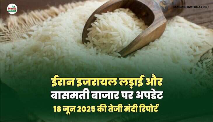 basmati image
