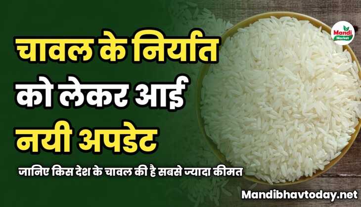 चावल के निर्यात को लेकर आई नयी अपडेट | जानिए किस देश के चावल की है सबसे ज्यादा कीमत