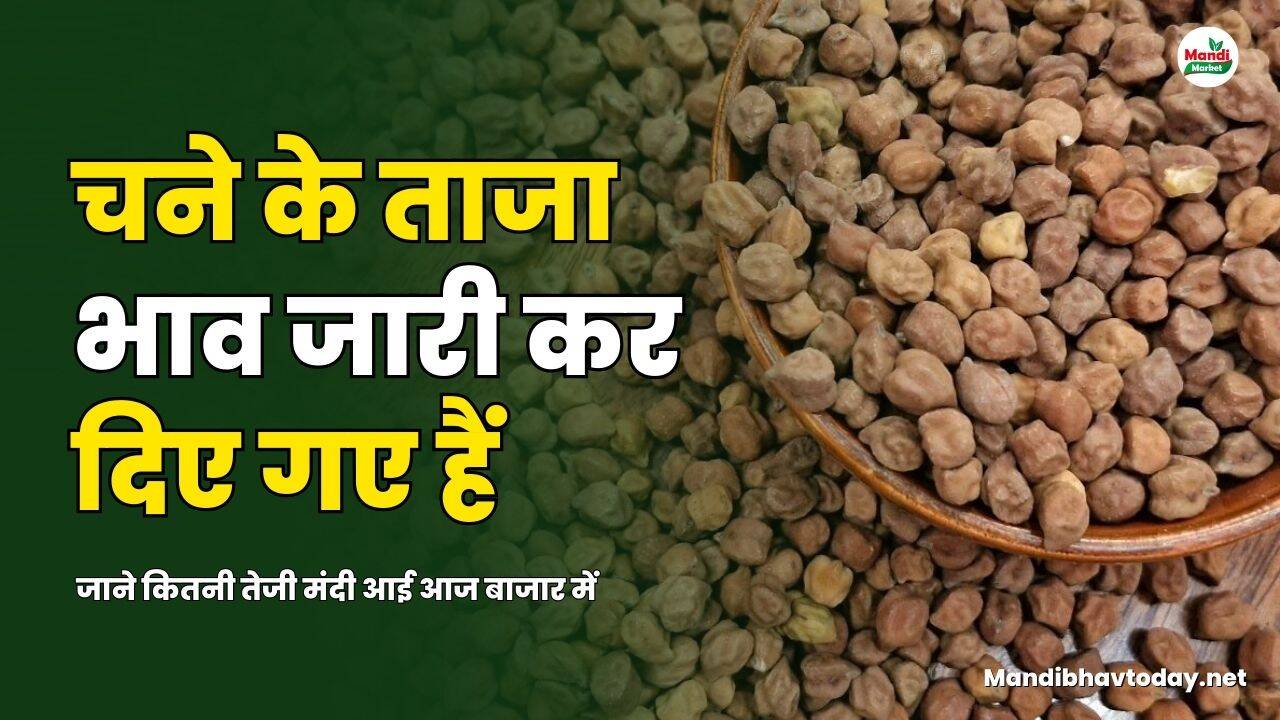 जाने कितनी तेजी मंदी आई आज बाजार में