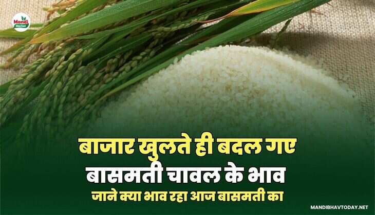 जाने क्या भाव रहा आज बासमती का