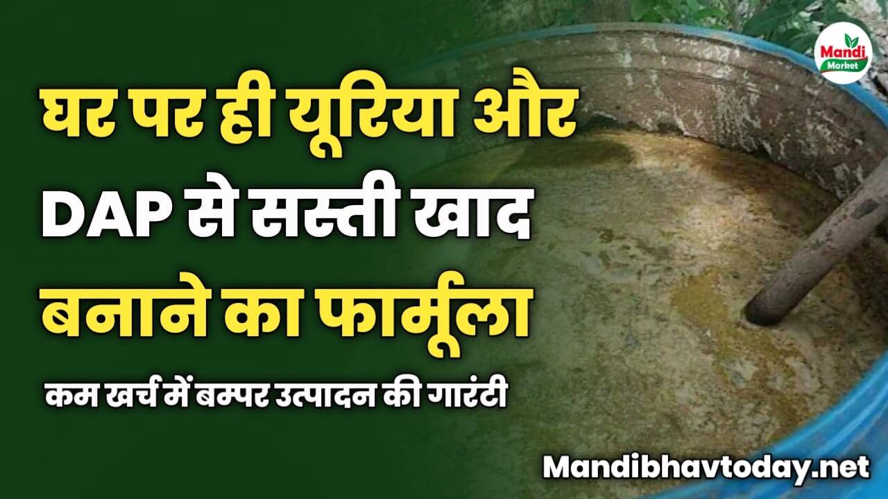 घर पर ही यूरिया और DAP से सस्ती खाद बनाने का फार्मूला | कम खर्च में बम्पर उत्पादन की गारंटी