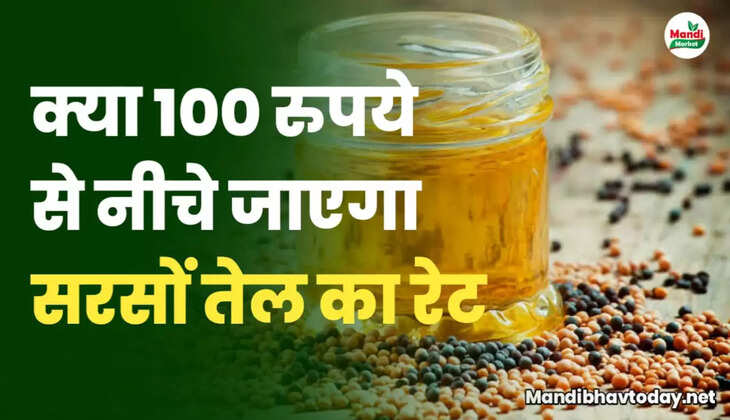 sarso teji mandi report