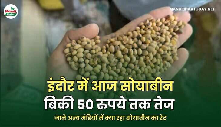 इंदौर में आज सोयाबीन बिकी 50 रुपये तक तेज | जाने अन्य मंडियों में क्या रहा सोयाबीन का रेट
