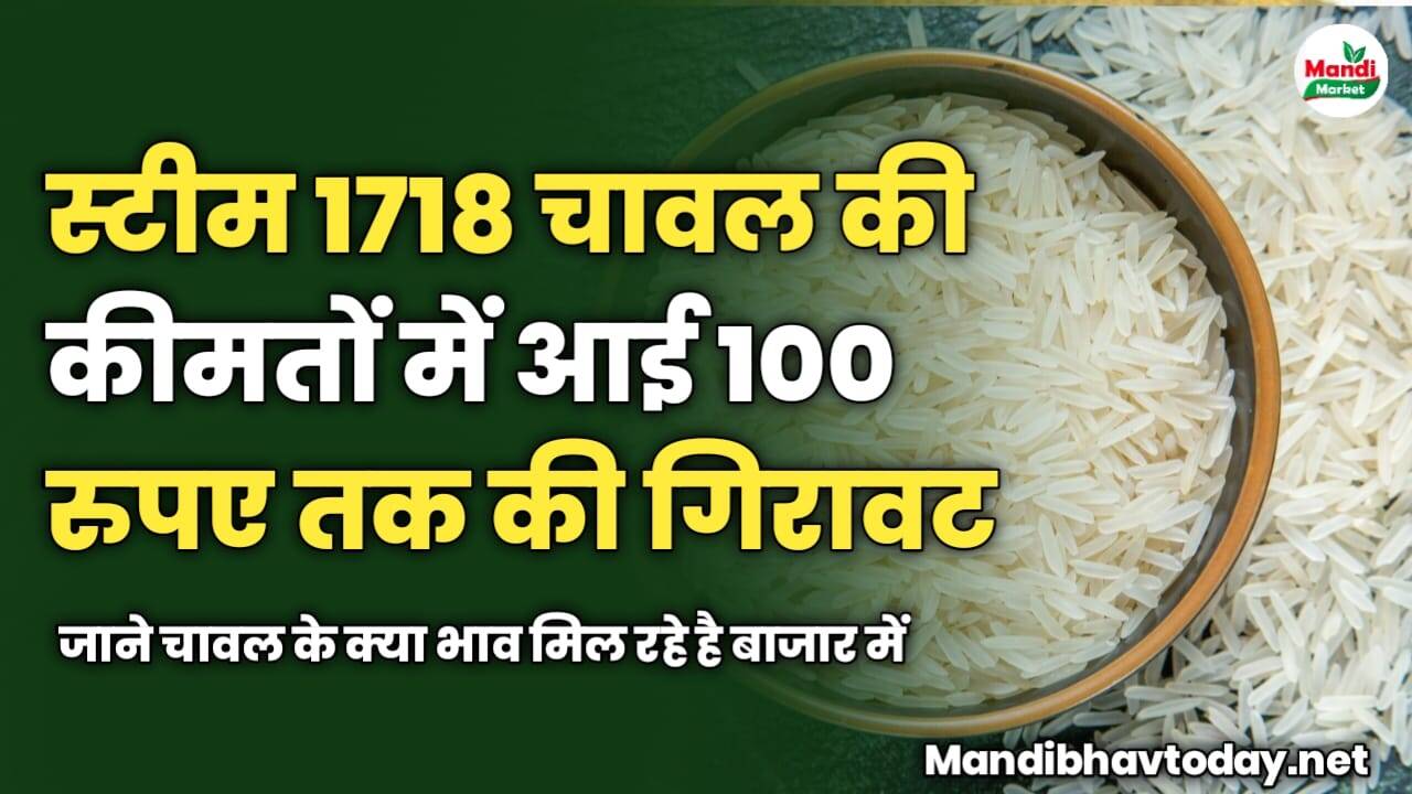 स्टीम 1718 चावल की कीमतों में आई 100 रुपए तक की गिरावट | जाने चावल के क्या भाव मिल रहे है बाजार में