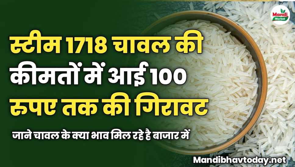 स्टीम 1718 चावल की कीमतों में आई 100 रुपए तक की गिरावट | जाने चावल के क्या भाव मिल रहे है बाजार में 