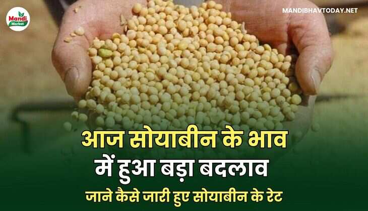 सोयाबीन के रेट