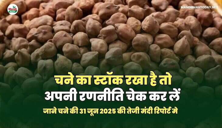 31 july 2025 की रिपोर्ट 