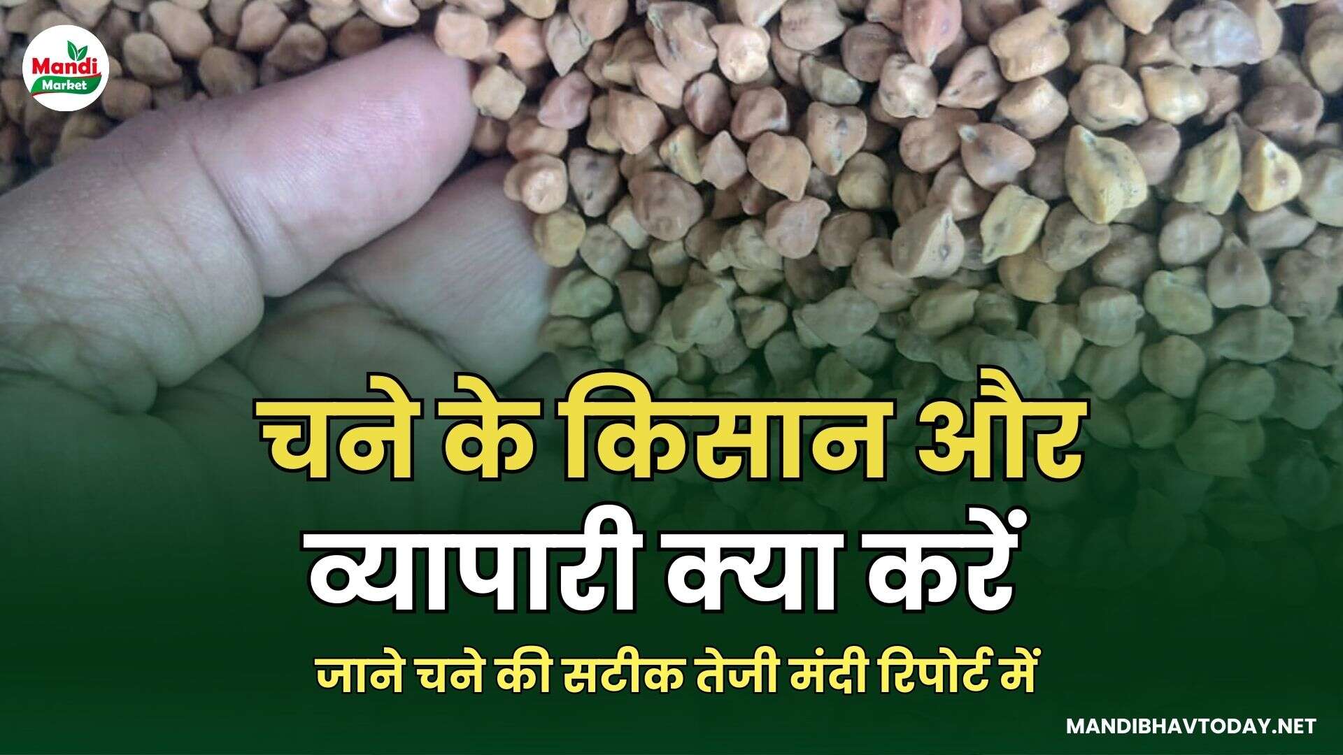 जाने चने की सटीक तेजी मंदी रिपोर्ट में