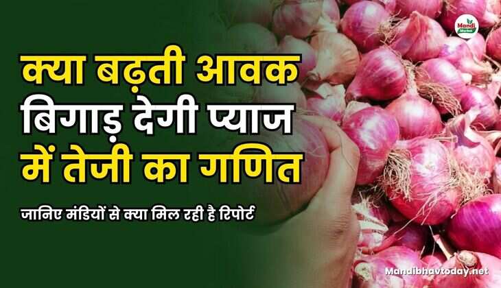 क्या बढ़ती आवक बिगाड़ देगी प्याज में तेजी का गणित | जानिए मंडियों से क्या मिल रही है रिपोर्ट