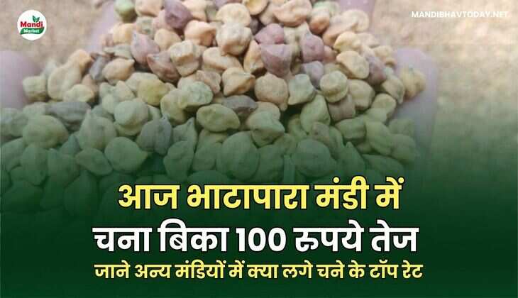 चने के टॉप रेट