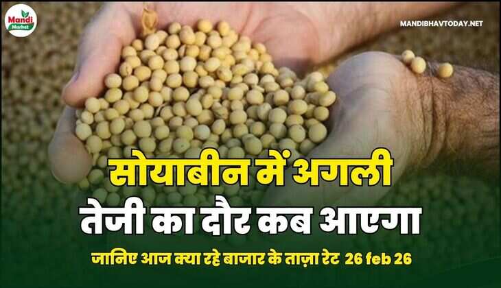 सोयाबीन में अगली तेजी का दौर कब आएगा |  जानिए आज क्या रहे बाजार के ताज़ा रेट  26 feb 26