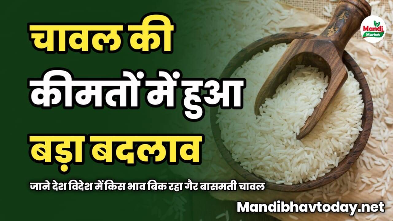 चावल की कीमतों में हुआ बड़ा बदलाव | जाने देश विदेश में किस भाव बिक रहा गैर बासमती चावल