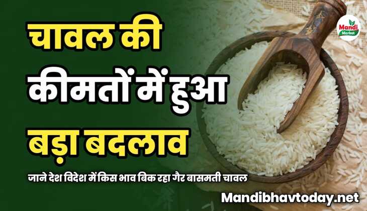चावल की कीमतों में हुआ बड़ा बदलाव | जाने देश विदेश में किस भाव बिक रहा गैर बासमती चावल