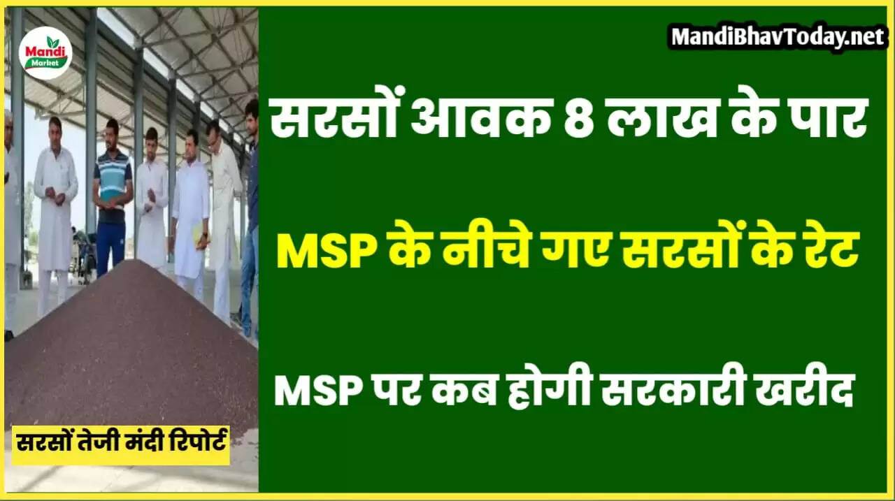 teji mandi report