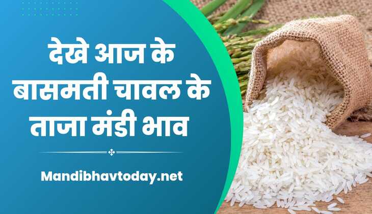 बासमती चावल के ताजा भाव | basmati rice ke taja bhav 18 January 2025