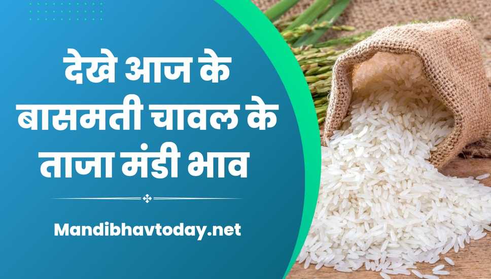 बासमती चावल के ताजा भाव | Basmati Rice Rate 12 sep 2023