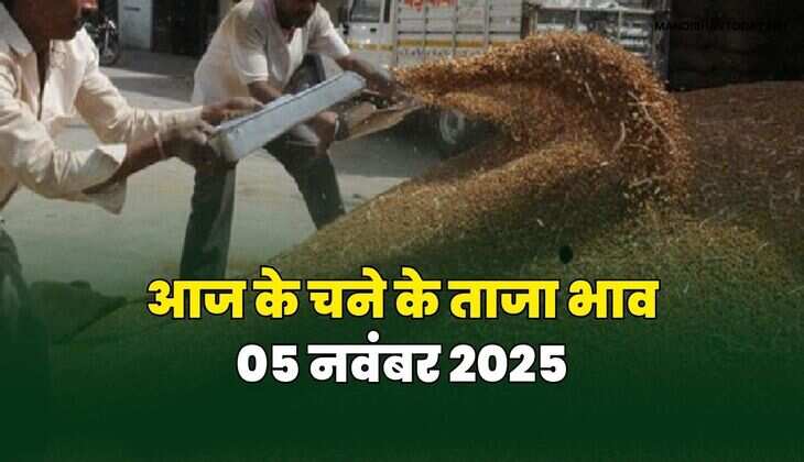 आज के चने के ताजा भाव | 05 नवंबर 2025 