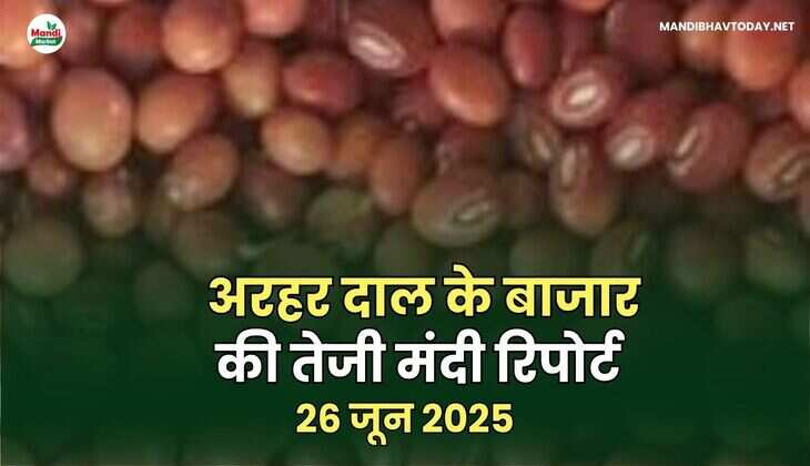 अरहेर डाल images