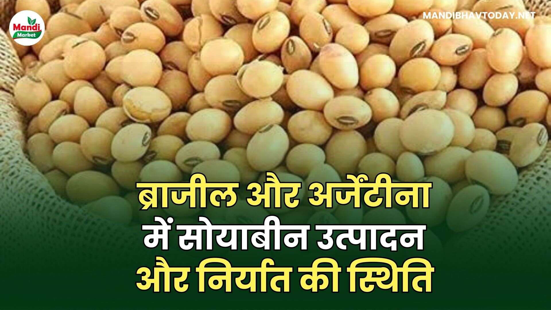 ब्राजील और अर्जेंटीना में सोयाबीन उत्पादन और निर्यात की स्थिति