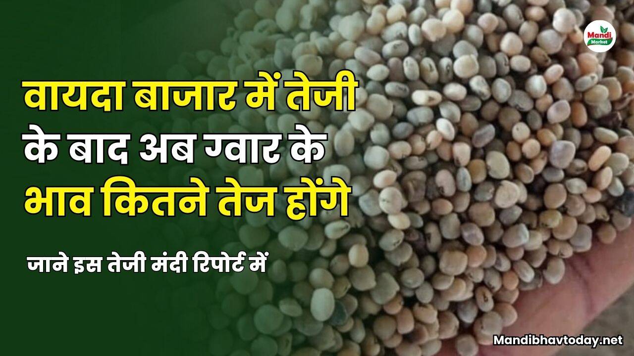 जाने इस तेजी मंदी रिपोर्ट में