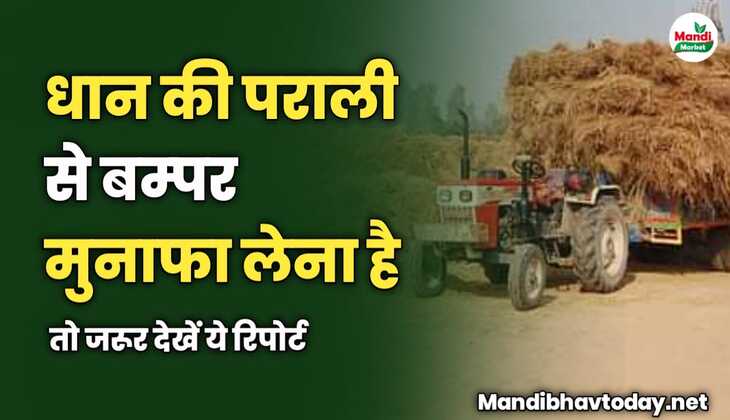 धान की पराली से बम्पर मुनाफा लेना है | तो जरूर देखें ये रिपोर्ट