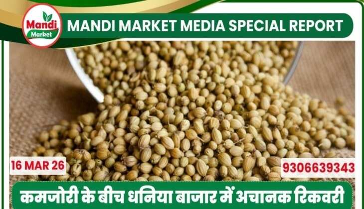 कमजोरी के बीच धनिया बाजार में अचानक रिकवरी