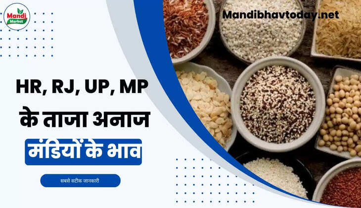 HR RJ MP UP Mandiyo ke bhav 10 Dec 22