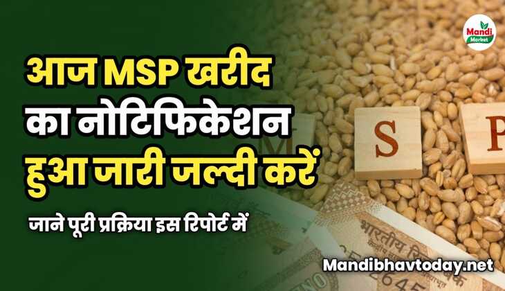 MSP खरीद का नोटिफिकेशन जारी | फटाफट करें रजिस्ट्रेशन | जाने पूरी प्रक्रिया