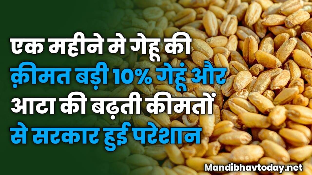 गेहूं और आटा की बढ़ती कीमतों से सरकार हुई परेशान | अब गेहू स्टॉक को अधिक मात्रा में खुले बाजार में बेचेगी सरकार