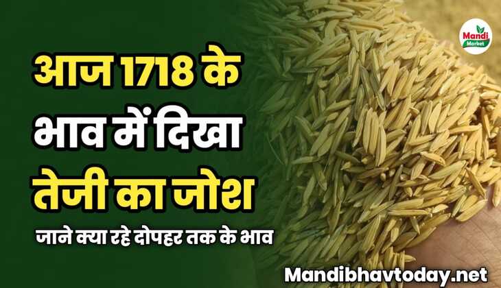 आज 1718 के भाव में दिखा तेजी का जोश | जाने क्या रहे दोपहर तक के भाव 