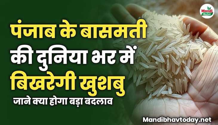 पंजाब के बासमती की दुनिया भर में बिखरेगी खुशबु | जाने क्या होगा बड़ा बदलाव